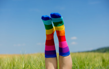 female legs in LGBT socks raised up on a wheat field