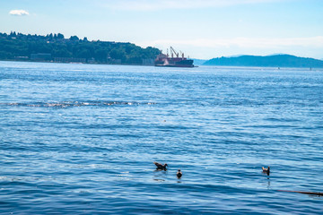 Naklejka premium Beautiful Clear Day In Seattle, Washington