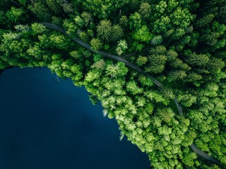 Aerial top view of country road in green summer forest and blue lake. Rural landscape in Finland.