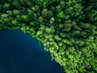 Foto op Aluminium Aerial top view of country road in green summer forest and blue lake. Rural landscape in Finland. © nblxer