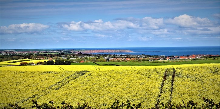 View of the North Sea 2 from Hunmanby.