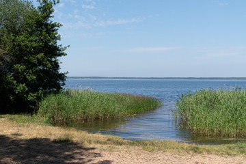 view of natural lake in Lacanau Gironde in France