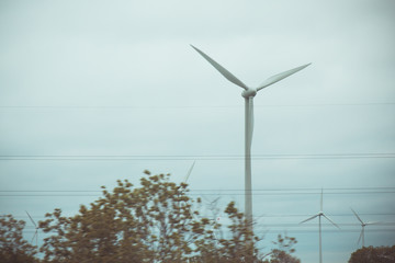 farm of wind electricity generators. alternative power from renewable energy. environmentally friendly production. windmills