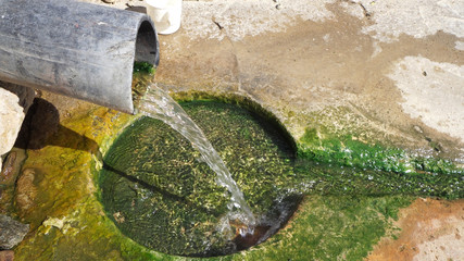 Fresh mineral water from a fresh water source. Small natural spring, fresh water inlet of a river