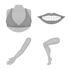 Isolated object of body and part icon. Collection of body and anatomy stock symbol for web.