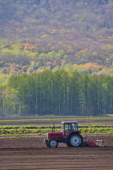 羊蹄山と畑の風景 / 北海道 ニセコ周辺の風景