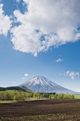 Fototapeta premium 羊蹄山と畑の風景 / 北海道 ニセコ周辺の風景