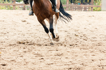 Obraz premium Learning Horseback Riding. Instructor teaches teen Equestrian.