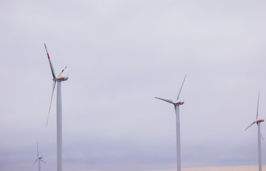 Fototapeta na wymiar farm of wind electricity generators. alternative power from renewable energy. environmentally friendly production. windmills