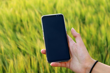 Telefon w polu blank screen czarny ekran natura