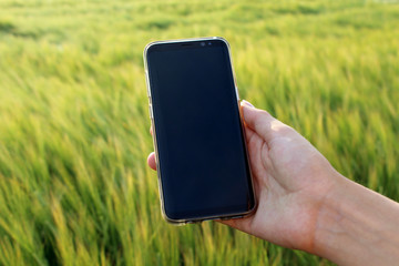 Pusty ekran smartphone w polu blank screen