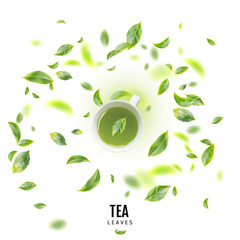 Healthy Light Green Tea Cup with Fresh Green Leaves