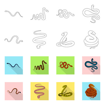 Isolated object of mammal and danger logo. Collection of mammal and medicine stock symbol for web.