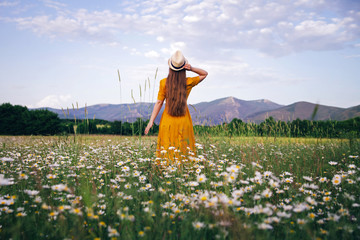 A young girl in a yellow dress stands in a daisy field among flowers and spikelets. The concept of summer days and traveling