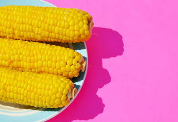 Close-up sweet corn on pink background, photo