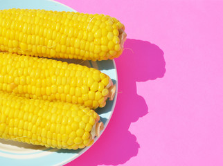 Close-up sweet corn on pink background, photo