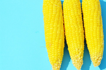 Close-up sweet corn on blue background, photo