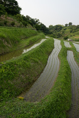 千早赤坂村の風景