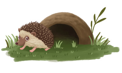 hedgehog and burrow - obrazy, fototapety, plakaty