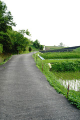 千早赤坂村の風景