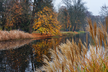 Lazienki Park or Royal Baths Park in autumn. Warsaw. Poland