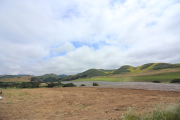 Green rolling hills, golden fields on a background of blue skies and billowy white clouds