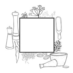 Vector frame with hand drawn spices and herbs. Sketch  illustration.