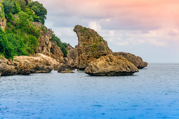 Rocky coast with plants against the sunset sky. One of the rocks resembles a shark's fin.