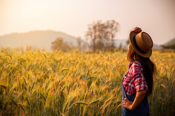 Naklejka na ściany i meble Farmer in ripe wheat field planning harvest activity, female agronomist looking at sunset on the horizon