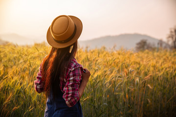 Farmer in ripe wheat field planning harvest activity, female agronomist looking at sunset on the...