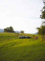 Harvested field with a bunch of stacks next to a fence