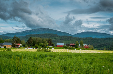 Telemark, norway, Scandinavia, Jezioro, lustrzane, odbicie, natura, góry, skandynawskie