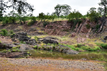 nature and landscape with river in South Africa
