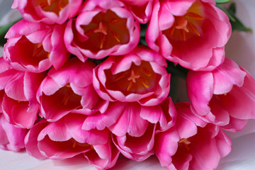 Pattern of flowers tulips for the Mother's Day