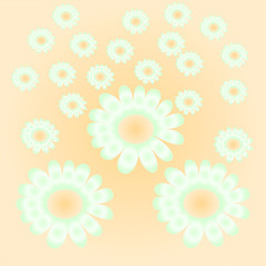 Fototapeta na wymiar White daisies on a light background