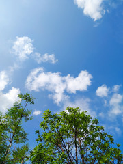 Blue sky with clouds in the morning.