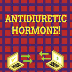 Word writing text Antidiuretic Hormone. Business photo showcasing peptide molecule that is release by the pituitary gland Exchange Arrow Icons Between Two Laptop with Currency Sign and Check Icons