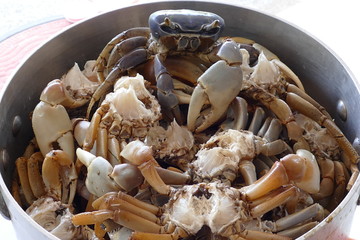 Matoutou