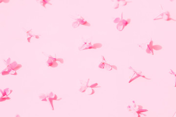 Lilac blossom flowers pattern in pink colors.