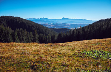 The Carpathian Mountains or Carpathians