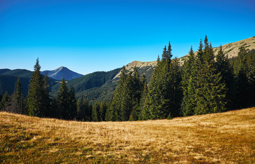 The Carpathian Mountains or Carpathians © badahos