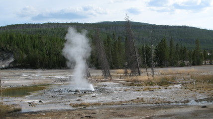 Yellowstone