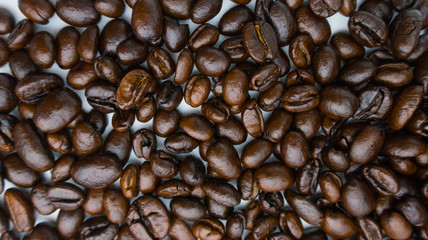 coffee bean isolate on white background