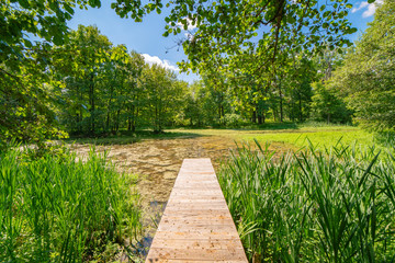 Wooden bridge over the lake on a summer sunny day