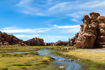 Fototapeta na wymiar View of the Laguna Negra, Black lagoon Canyon with unique geological rock formations in Altiplano, Bolivia