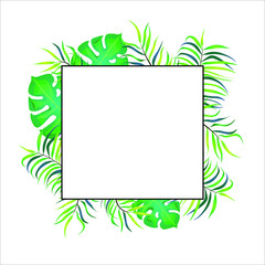 Fototapeta na wymiar Vector illustration. Colorful, beautiful frame with tropical leaves. White background. 