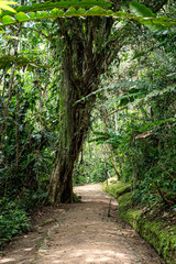 Senderos naturales en San Agustín_ Huila Colombia