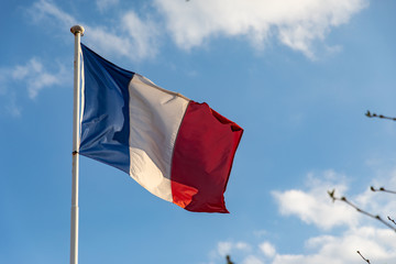 Naklejka na ściany i meble French flag waving on the wind