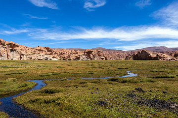 View of the Canyon of Laguna Negra and rocky landscape of the Bolivian plateau, Bolivia, South America
