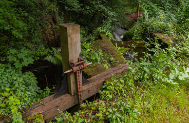 Badger falls in Badger Dingle